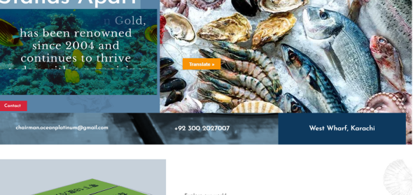 screencapture-oceangold-pk-2025-12-23-19_20_12